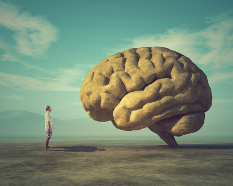 Brain? Wir sind verkopfte Wesen. Aber auch geistige... (Foto: Orla/ Shutterstock)